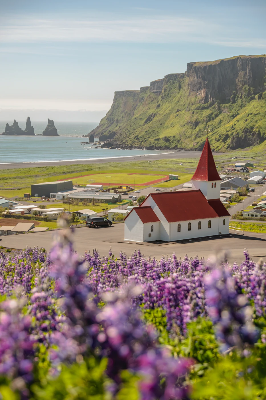 Vík church above a field of purple lupins